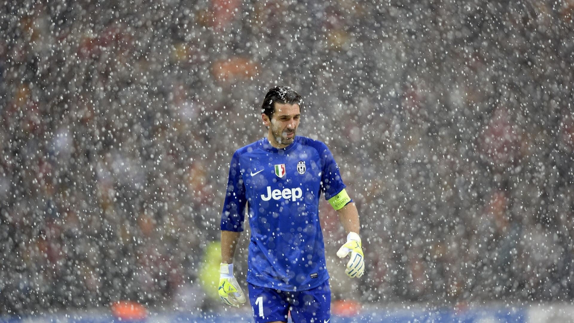 体育赛事年度收视率排行